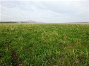 212 ha Farm in Alma