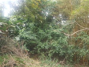 1569 m² Land available in Sea View