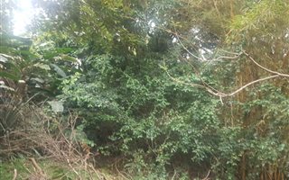 1569 m² Land available in Sea View