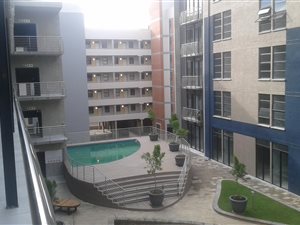 2 Bedroom Apartment in Brooklyn
