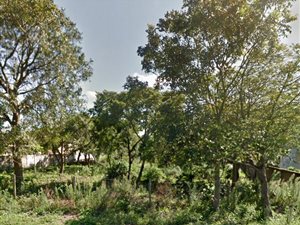 1175 m² Land available in Birdswood