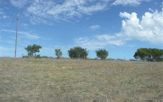 5.9 ha Land available in Baardskeerdersbos