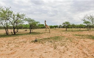 1758 m² Land available in Marloth Park