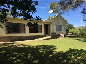 Game Farm in Grahamstown