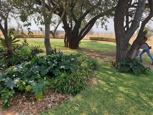 435 ha Farm in Alma