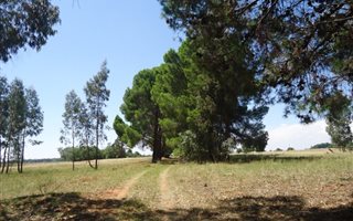 17.1 ha Land available in Kenilworth