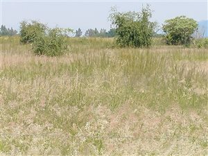 8000 m² Farm in Mooinooi