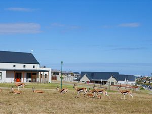 878 m² Land available in Blue Mountain Village