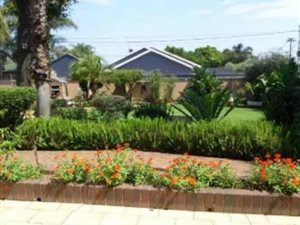 3 Bed House in Mountain View
