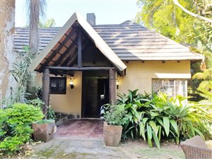 6 ha Farm in White River