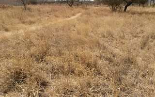7700 m² Land available in Polokwane Central