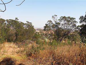 1 ha Land available in Grootfontein Estate