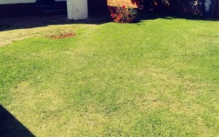 3 Bedroom House in Zakariyya Park