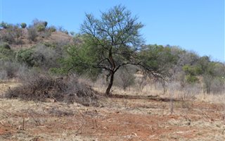 875 m² Land available in Ville D Afrique