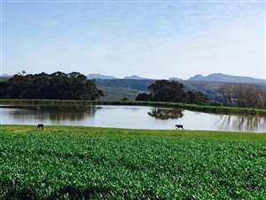 382 ha Farm in Stanford