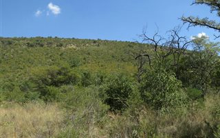 2500 m² Land available in Zwartkloof Private Game Reserve