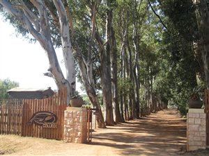 4.3 ha Farm in Anchorage Park