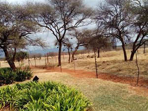 8 ha Farm in Mokopane