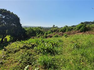 205 m² Land available in Paradise Valley