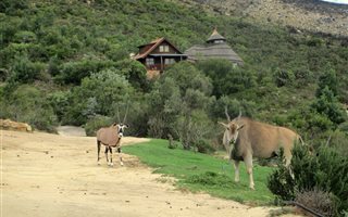 21 ha Farm in Bainskloof