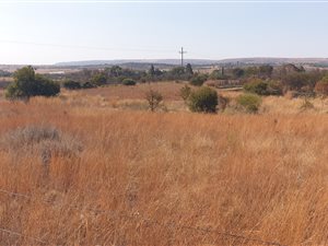 4 ha Land available in Boschkop