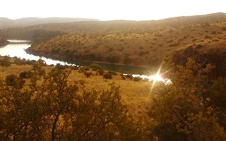 2630 ha Farm in Philippolis
