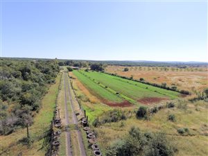 109 ha Farm with House in Derby