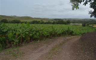 31 ha Farm with House in Southport