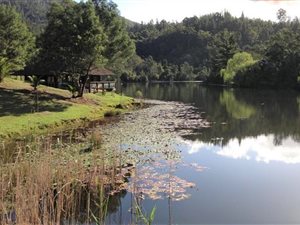 1351 ha Farm in Plettenberg Bay Rural
