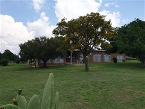 3.7 ha Farm in Rikasrus AH