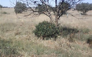 1366 m² Land available in Wesselsbron