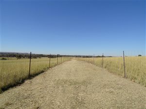 17 ha Farm in Rayton