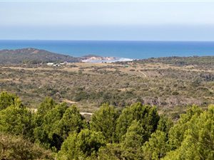 22 ha Farm in Port Alfred