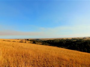 315 ha Farm in Mossel Bay