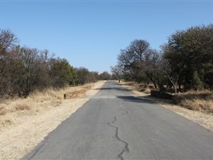 9800 m² Land available in Leeuwfontein Estate