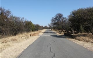 9800 m² Land available in Leeuwfontein