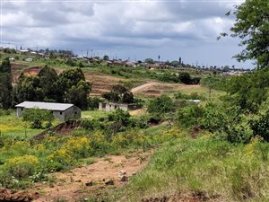 51 m² Land available in Ngwelezana