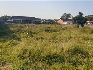 1000 m² Land available in Birdswood