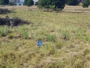 781 m² Land available in Kungwini Country Estate