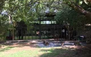 Commercial space in Irene