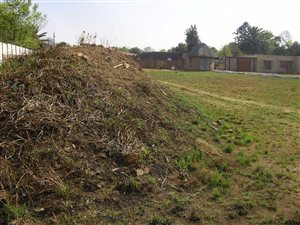 1884 m² Land available in Jameson Park