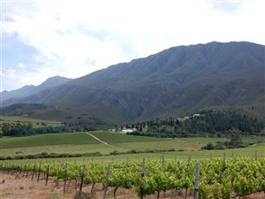 192 ha Farm in Swellendam