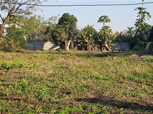 935 m² Land available in Sandfield