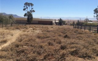 992 m² Land available in Koringberg