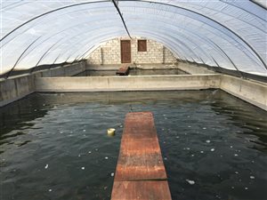 34 ha Farm in Port Alfred
