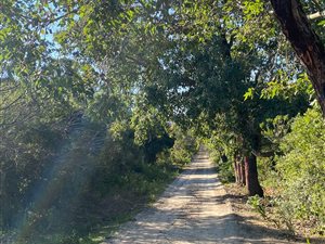 21 ha Farm in Port Alfred