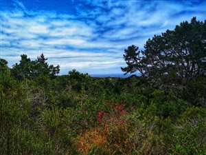 1.9 ha Land available in Wilderness