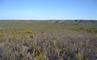 104.9 ha Farm in Albertinia