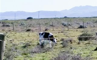 5 ha Land available in Kromme River