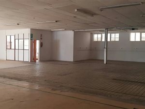 654 m² Commercial space in Wilsonia